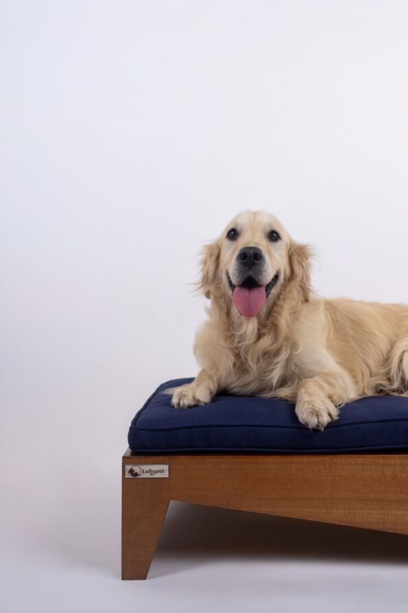 WhatsApp Image 2025-12-11 at 18.54.04