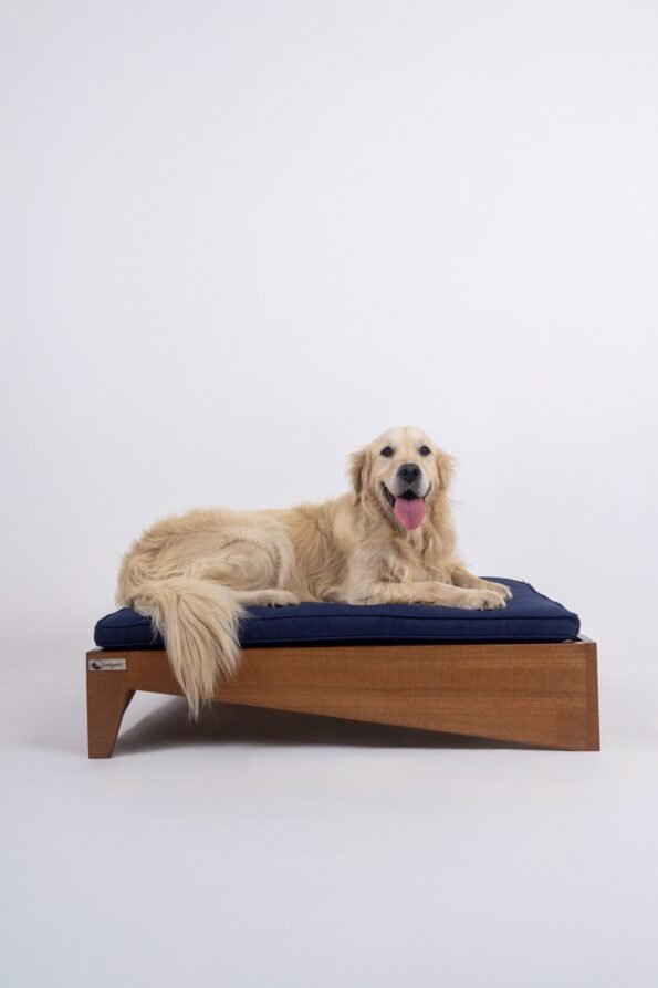 WhatsApp Image 2025-12-11 at 18.54.43