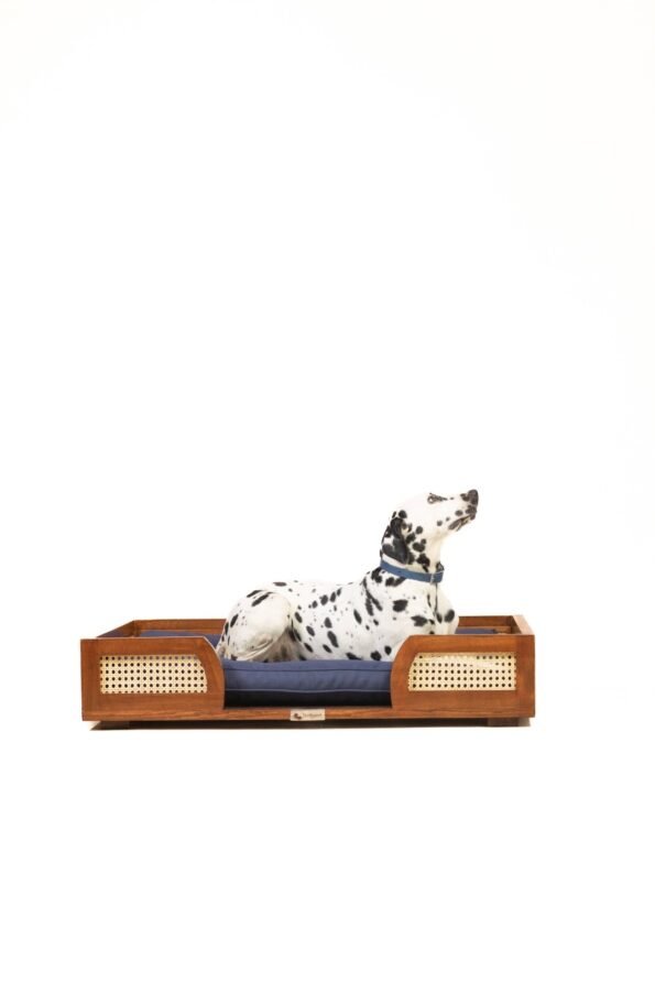 WhatsApp Image 2025-12-11 at 19.04.07