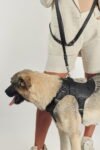 Spartacus Harness