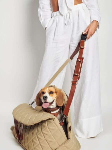 Car Seat Bag-Colombo