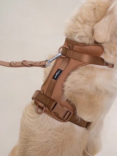 Harnais Néoprène Lollypet