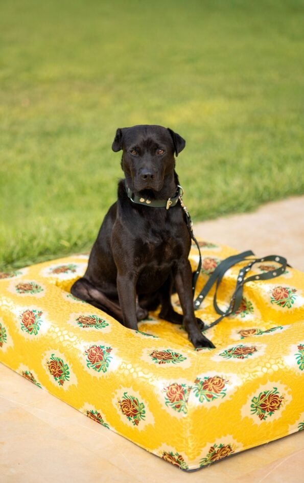 resised-decembre_Plan-de-travail-1