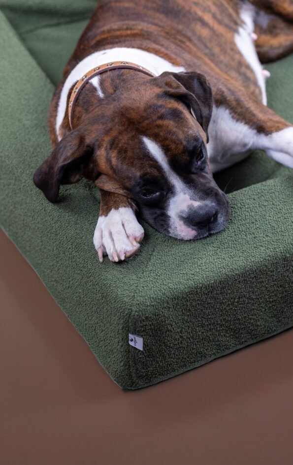 resised-decembre_Plan-de-travail-1-copie-4