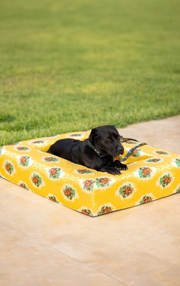 resised-decembre_Plan-de-travail-1-copie